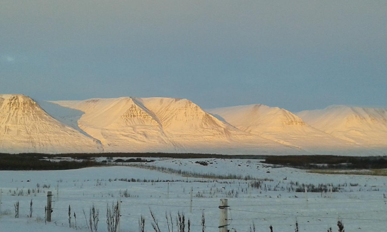 Glaesibaer 2 Guesthouse And Horsefarm Akureyri Extérieur photo
